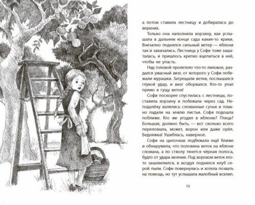 10842773_0.jpg