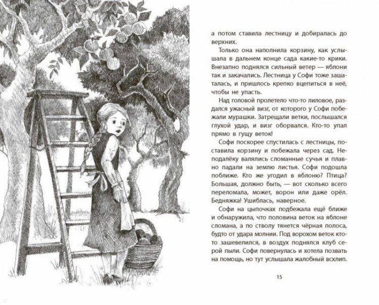 10842773_0.jpg