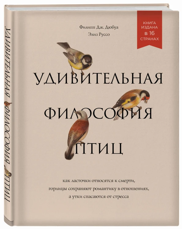 Удивительная философия птиц. Как ласточки относятся к смерти, горлицы сохраняют романтику в отношениях, а утки спасаются от стресса