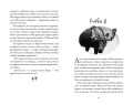 Хроники темных времен. Кн.4. Изгнанник