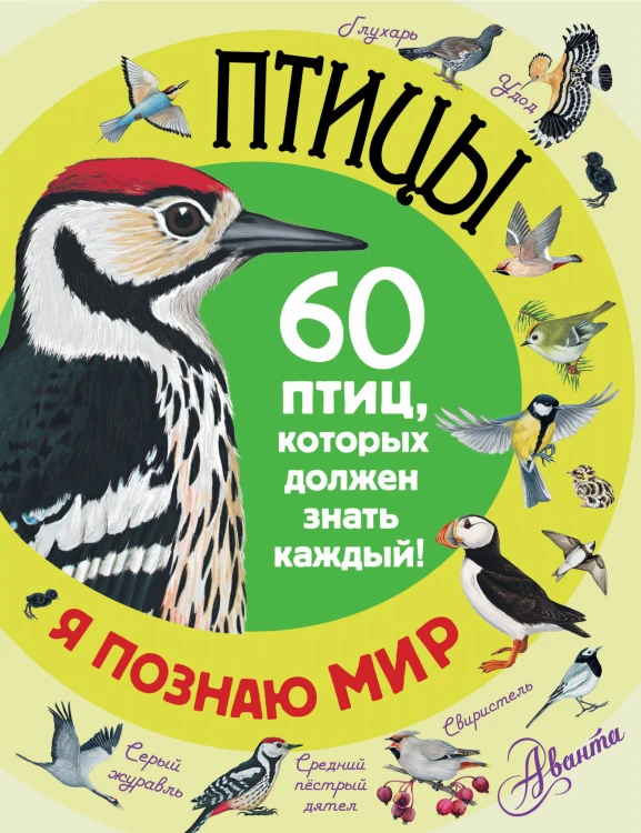 Птицы