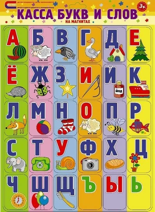 600x750.jpg