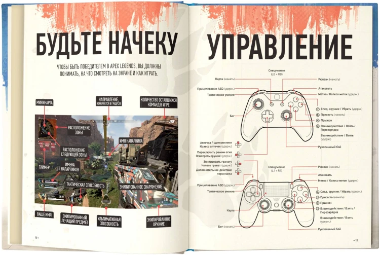 Мир игры Apex Legends