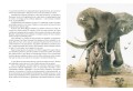 Приключения троих русских и троих англичан в Южной Африке4.jpg
