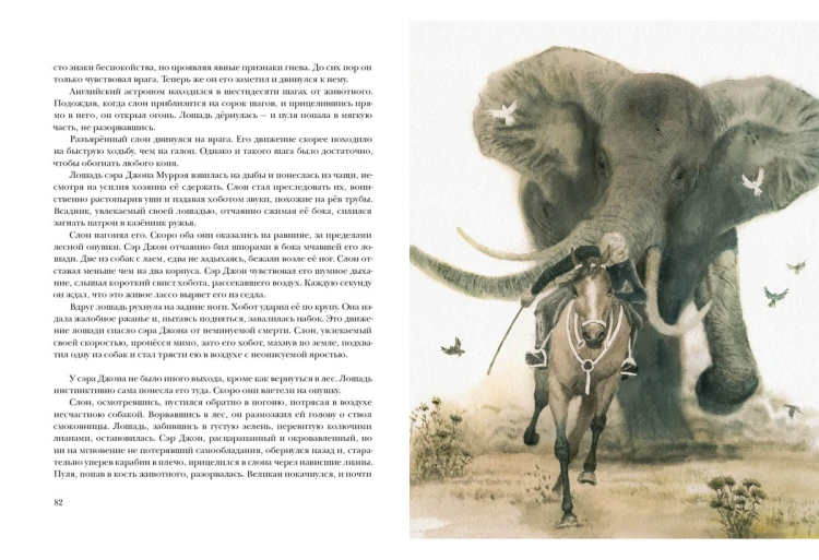 Приключения троих русских и троих англичан в Южной Африке4.jpg