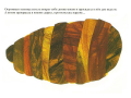 Screenshot_2021-03-25 Очень голодная гусеница(2).png