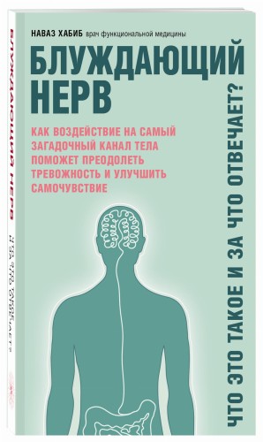 Блуждающий нерв. Что это такое и за что отвечает?