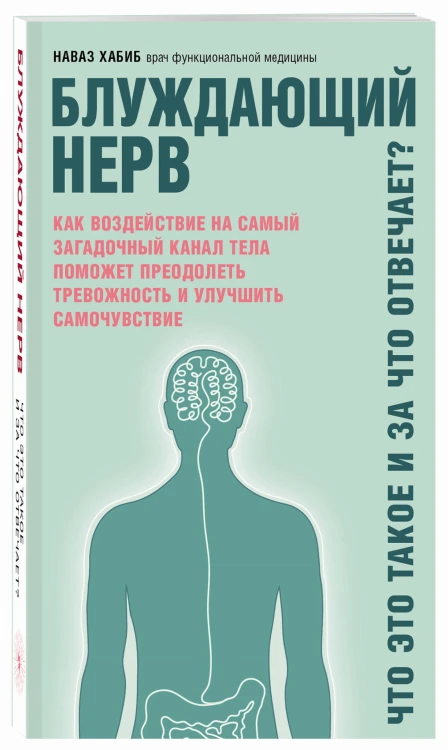 Блуждающий нерв. Что это такое и за что отвечает?