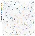 Coloristic Цветовой квест по номерам