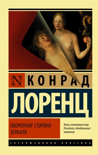Оборотная сторона зеркала