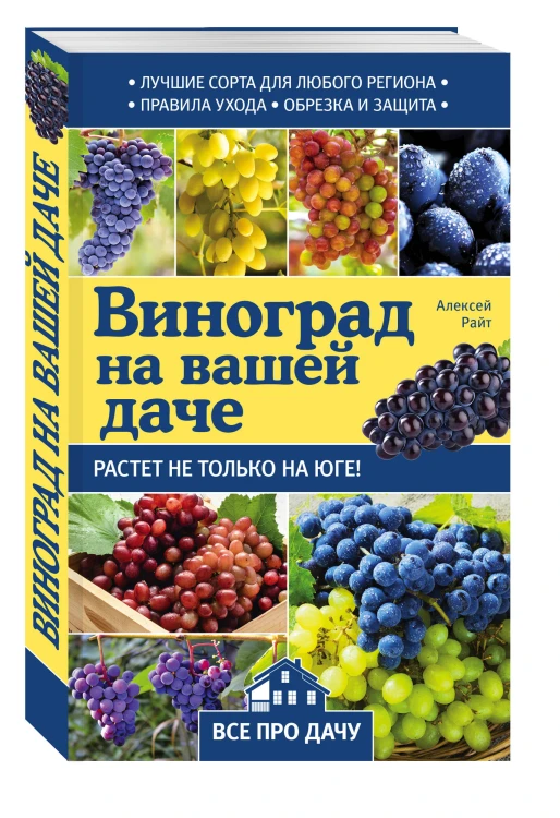 Виноград на вашей даче. Растет не только на юге!
