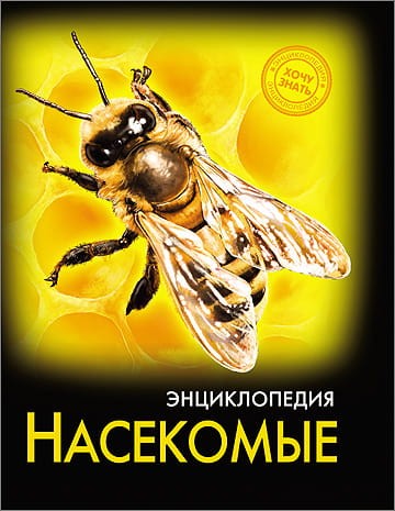 насекомые.jpg