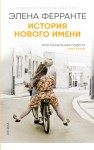 История нового имени (Книга 2 из серии "Неаполитанский квартет")