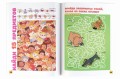 Спрятанные картинки. Найди и покажи