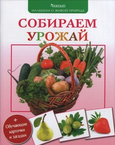 Собираем урожай. (Малышам о живой природе)