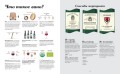 Wine Folly. Издание Магнум, детализированное