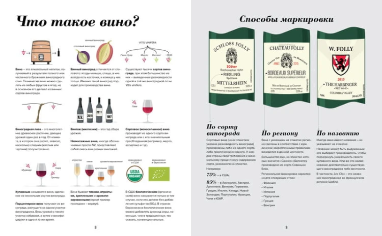 Wine Folly. Издание Магнум, детализированное