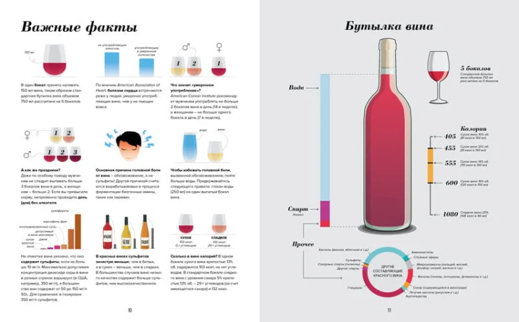 Wine Folly. Издание Магнум, детализированное
