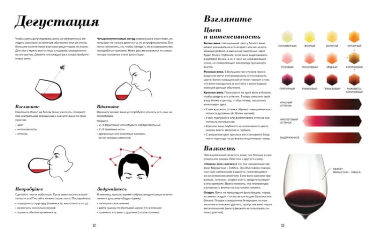 Wine Folly. Издание Магнум, детализированное
