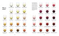 Wine Folly. Издание Магнум, детализированное