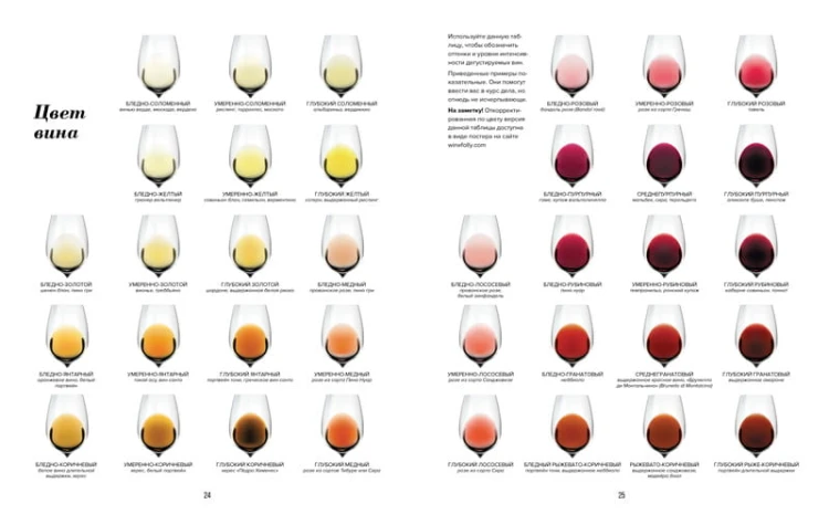 Wine Folly. Издание Магнум, детализированное