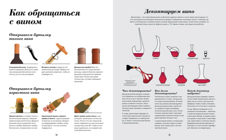 Wine Folly. Издание Магнум, детализированное
