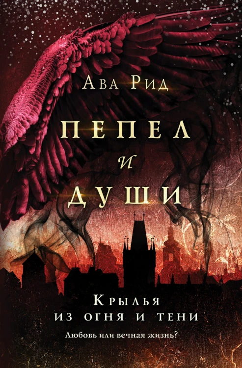 Крылья из огня и тени