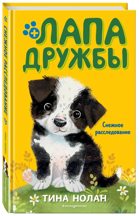 Снежное расследование (#9)