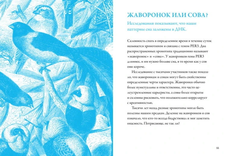 Маленькая книга хорошего сна. Для счастливого, энергичного и успешного дня