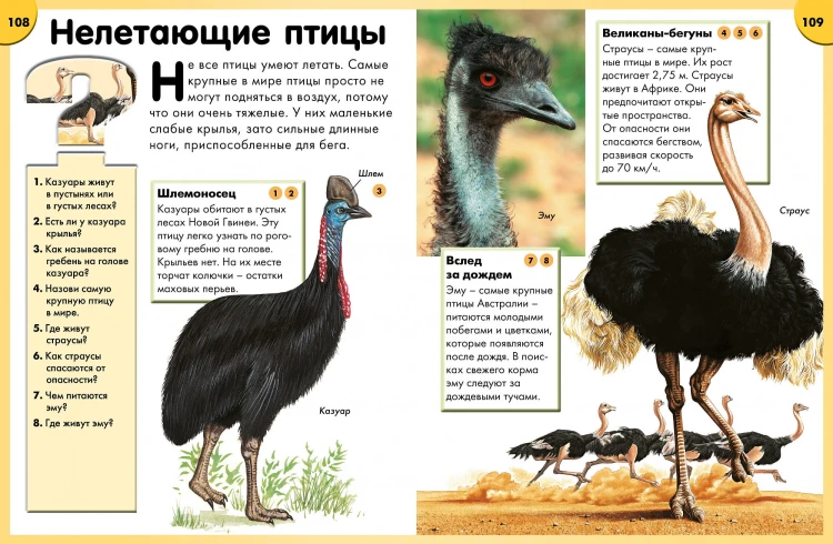 Обо всём на свете в вопросах и ответах. Энциклопедия3.jpg