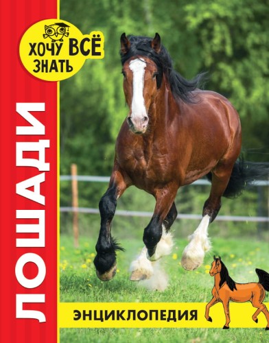ЛОШАДИ