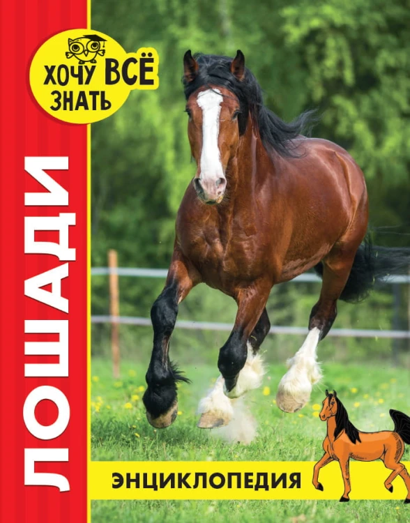 ЛОШАДИ