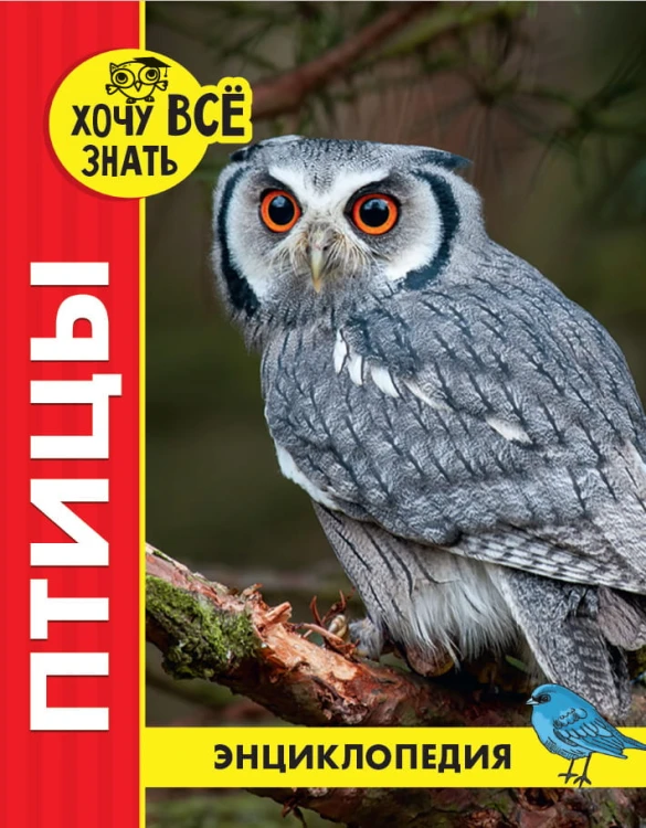 ПТИЦЫ