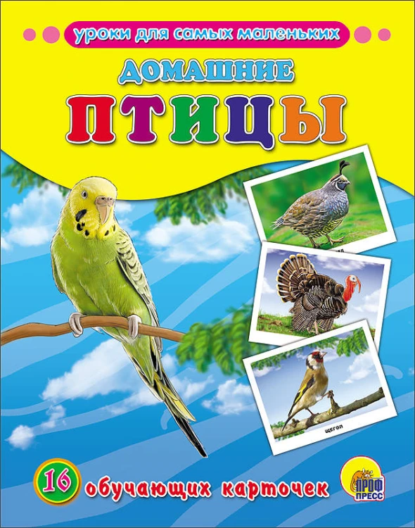 ОБУЧАЮЩИЕ КАРТОЧКИ. ДОМАШНИЕ ПТИЦЫ