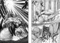 Атака на Титанов. Книга 4