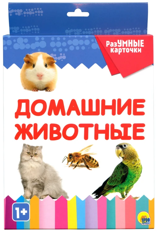 РАЗУМНЫЕ КАРТОЧКИ. ДОМАШНИЕ ЖИВОТНЫЕ