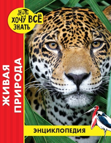 ЖИВАЯ ПРИРОДА