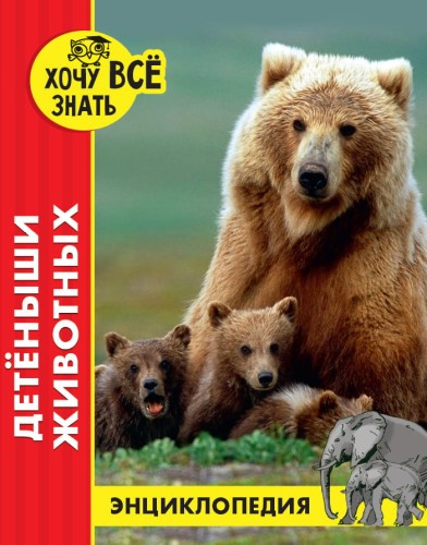 ДЕТЁНЫШИ ЖИВОТНЫХ