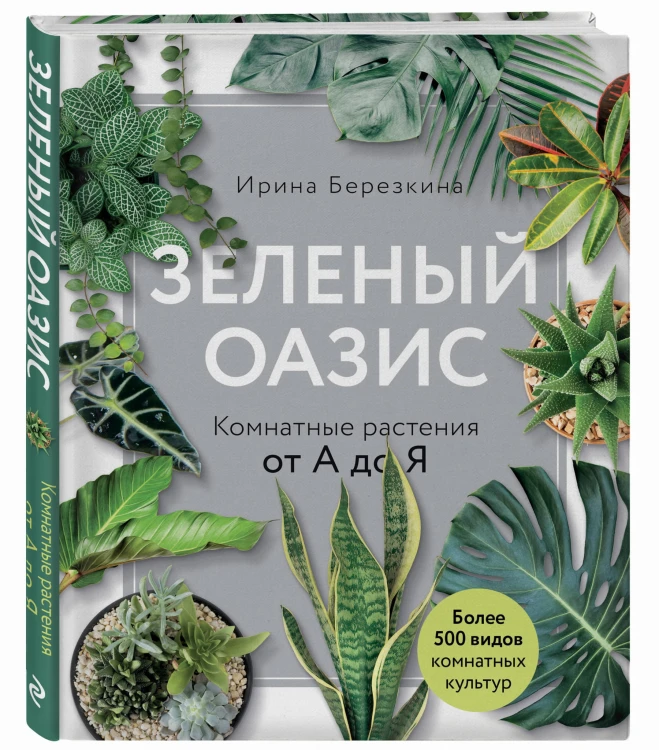 Зеленый оазис. Комнатные растения от А до Я