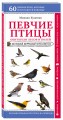 Певчие птицы. Обитатели лесов и полей