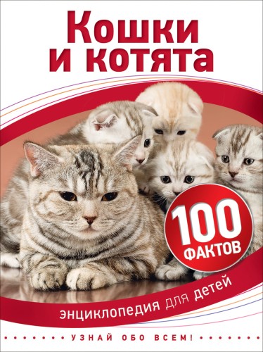 Кошки и котята