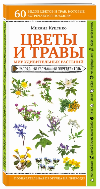 Цветы и травы. Мир удивительных растений