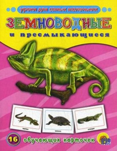 Земноводные и пресмыкающиеся