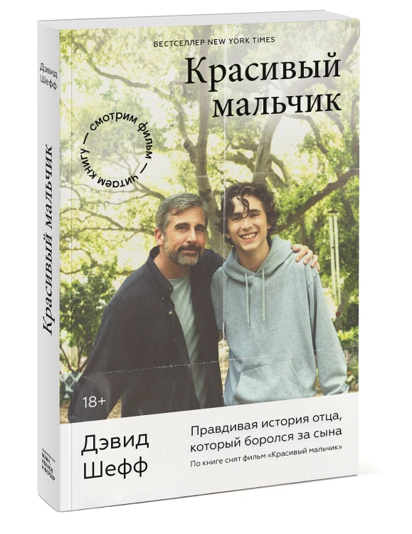 Красивый мальчик. Правдивая история отца, который боролся за сына