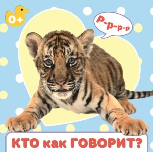 ЦК 145х145. КТО КАК ГОВОРИТ?