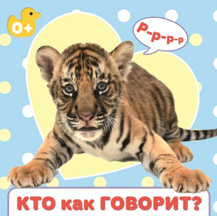 ЦК 145х145. КТО КАК ГОВОРИТ?