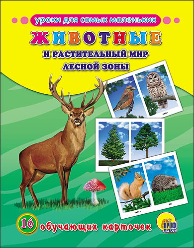 ОБУЧАЮЩИЕ КАРТОЧКИ. ЖИВОТНЫЕ И РАСТИТЕЛЬНЫЙ МИР ЛЕСНОЙ ЗОНЫ