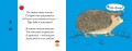 Картинки - половинки. Лесные животные 3.jpg