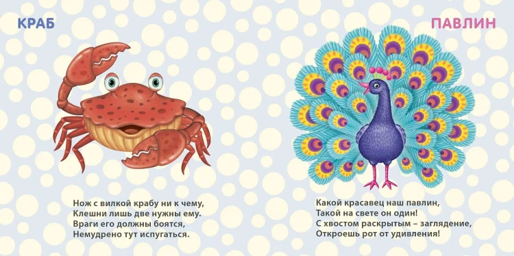 Книжки - картонки. Удивительные животные3.jpg