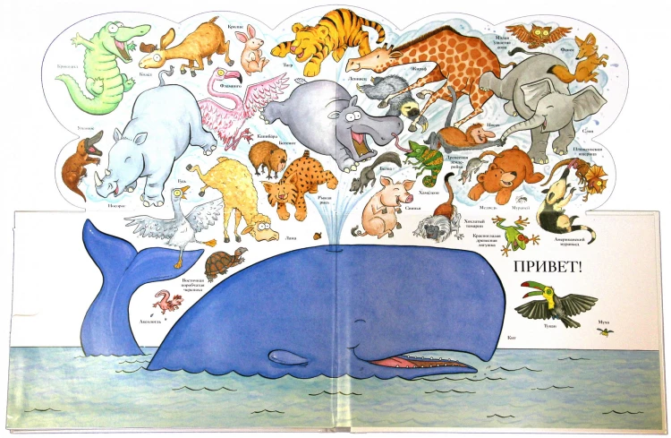 Морды4.jpg